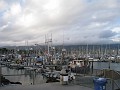 Carpinteria California 2010-02 0570